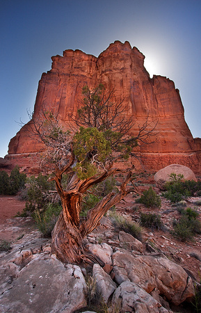 Courthouse Tower, Arches National Park